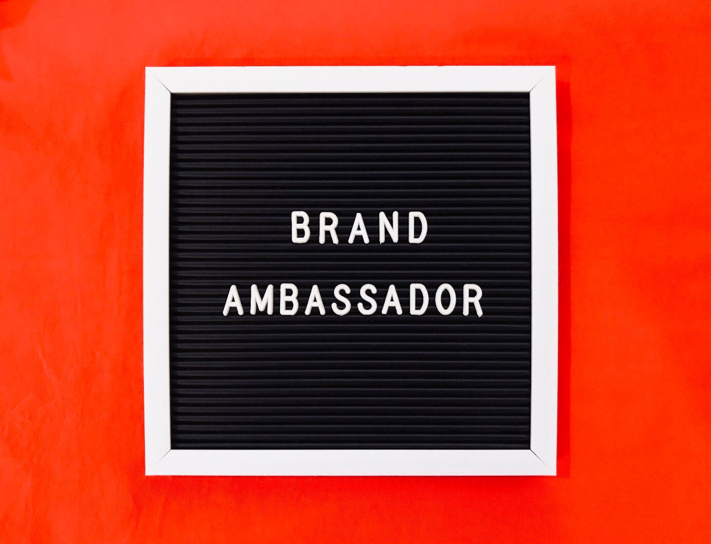 brand-ambassador